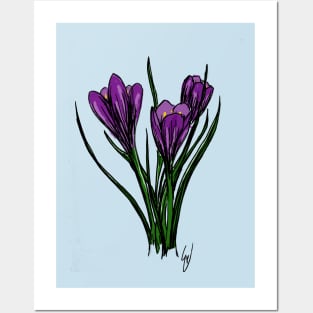 Spring Crocus Posters and Art